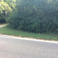 3019 Quarry Rd, Mcghee Tyson Ang Base, TN
