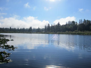 606 244th Ave, Redmond, WA 98074-3411