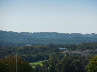 260 Wildwood Dr, Branson, MO 65616-3822