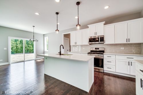 8725 Black Oak Ave, Tinley Park, IL 60487-8608
