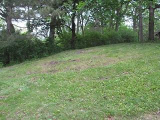 5630 Glen Ave, Hopkins, MN 55345-6610