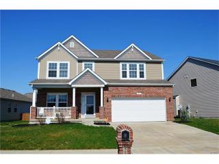 2725 Autumn Harvest Ln, Belleville, IL 62221-6748