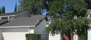 933 Courtland Ct, Milpitas, CA 95035-6973