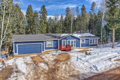 419 Donzi Trl, Twin Rock, CO 80816-9368