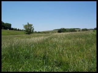 5524 Evergreen Farms Ln, Greenback, TN 37742-3436