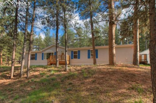 176 Peak View Cir, Twin Rock, CO 80816-9414