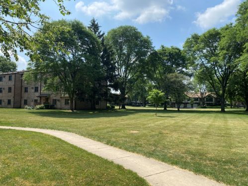 803 Dwyer Ave, Arlington Hts, IL 60005-2447