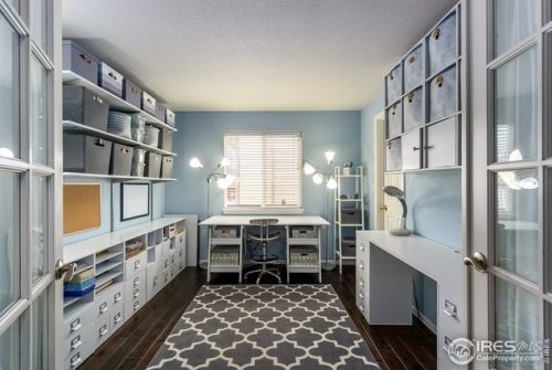 513 Idalia Ct, Fort Collins CO  80525-7011 exterior