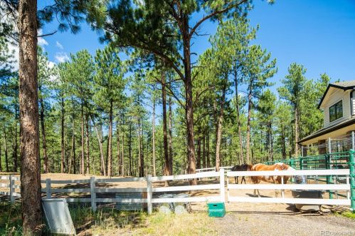 5014 Perry Park Rd, Deckers CO 80135-8209 exterior