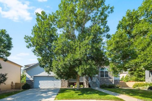 10653 Flagler Ct, Parker, CO 80134-7635