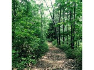 228 Merry Hill Rd, Barrington, NH 03825-5030