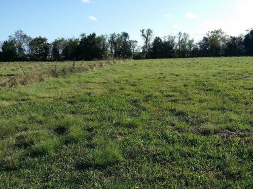 2313 Shanks Rd, Angleton TX  77515-9184 exterior