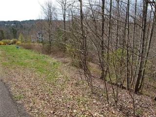 235 Smith And Wesson Way, Big Canoe, GA 30143-0032