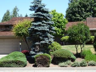 14602 Fairwood Blvd, Seattle WA  98058-8500 exterior
