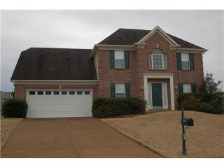 10351 Walden Pine Ct, Cordova, TN 38018-6674