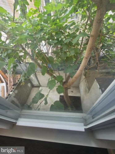 2615 2nd St, Philadelphia, PA 19133-3411