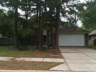 31103 Silver Village Dr, Spring TX  77386-2266 exterior