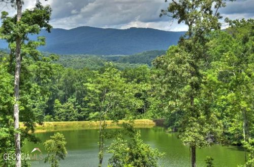 2308 Rackley Rd, Ellijay, GA 30536-6388