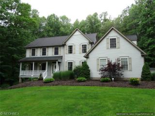 10500 Locust Grove Dr, Concord Township, OH 44024-8869