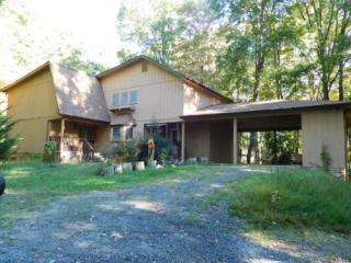 839 Trojan Dr, Willow Tree, VA 24248-8814
