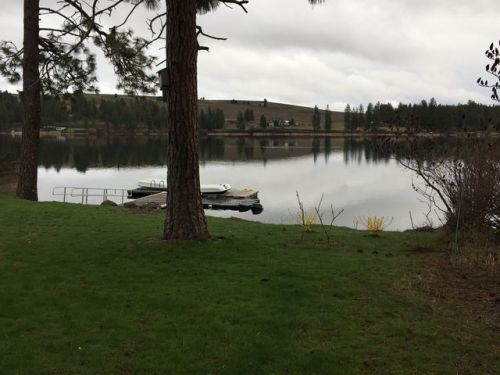 9602 Freeman Dr, Spokane, WA 99022-8503