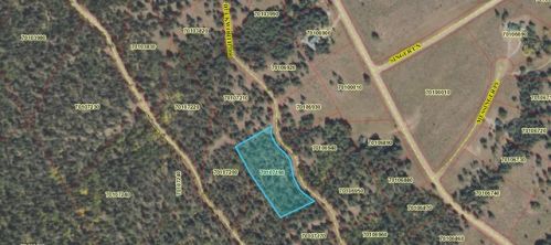 811 Duckworth Dr, Sangre De Cristo Ranches, CO 81133
