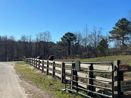 379 Buckeye Trl, Big Canoe GA  30143-7934 exterior