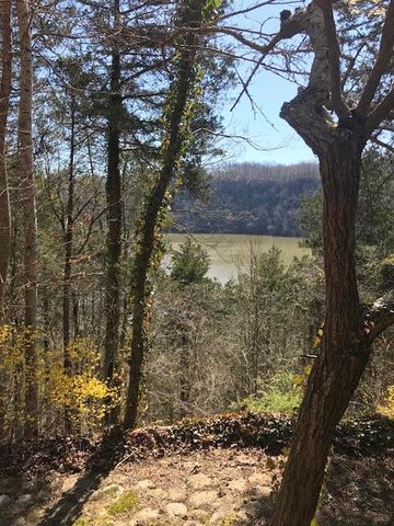 7201 Frank A Barns Rd, Baxter, TN 38544-4869