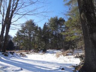 57 Durgin Rd, Chichester, NH 03258-6300