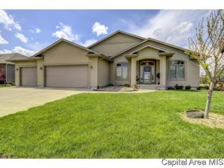 1124 Gridiron Ln, Auburn, IL 62615-1087