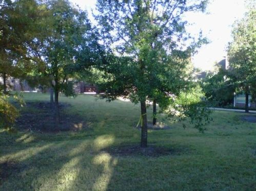 5515 Davis Ln, Austin TX 78749-3632 exterior