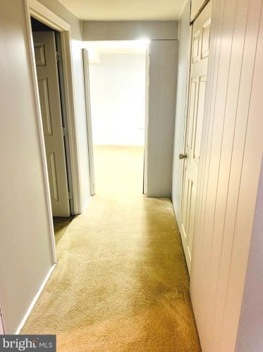 13114 Estelle Rd, Silver Spring MD 20906-3910 exterior