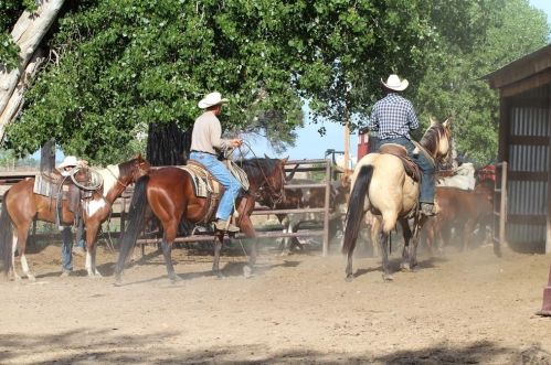 706 Avondale Blvd, Avondale CO 81022-8702 exterior