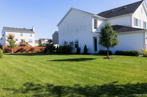 585 Vine St, Pingree Grove IL  60140-5621 exterior