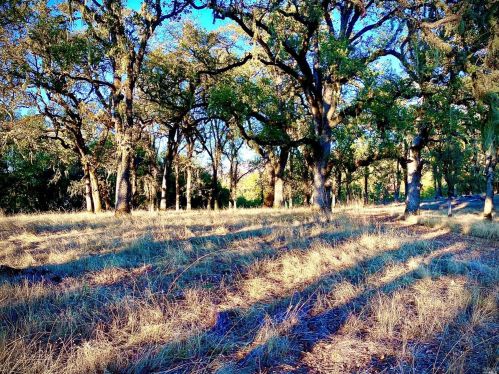 2001 Vichy Springs Rd, Ukiah CA 95482-4135 exterior