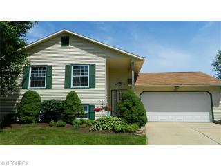 1381 Thatcher Dr, Concord Township, OH 44077-5001