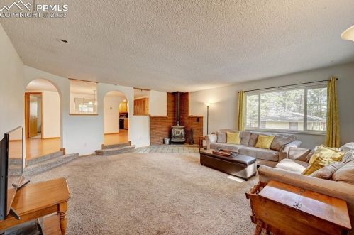 1600 Chippewa Trl, Woodland Park, CO 80863-8318