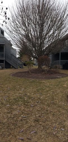 5 Tsienneto Rd, Derry NH  03038-1549 exterior