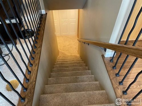 524 Idalia Ct, Fort Collins CO  80525-7009 exterior