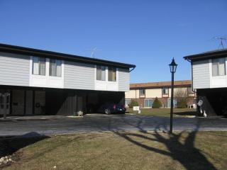 8 Cour Monnet, Palos Hills, IL 60465-2413