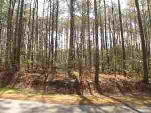 9 Fox Ln, Wagram, NC 28396
