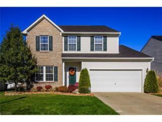 204 Settlers Ln, Concord Township OH  44077-3694 exterior