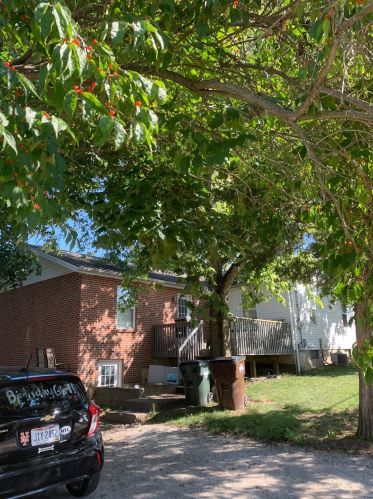 818 College Ave, Miami, OH 45056-2235