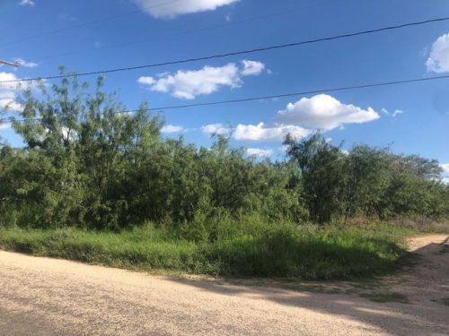 1411 2nd St, Big Spring, TX 79720-2007