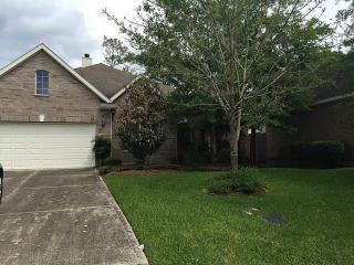 52 Windsor Bridge Dr, Conroe TX  77384-3713 exterior