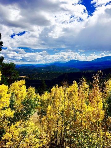 31483 Kings Valley Dr, Conifer, CO 80433-7529