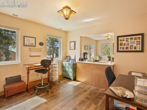 331 Panther Ct, Woodland Park CO exterior