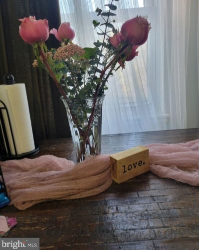 6312 10th St, Philadelphia PA 19141-3804 exterior