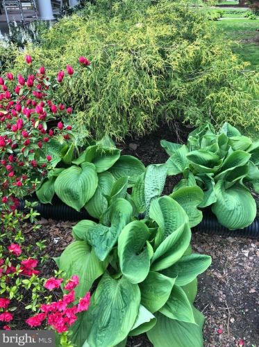 638 State St, Lancaster PA  17603-2641 exterior