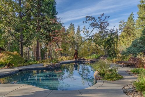 5604 Wylderidge Dr, Vallecito, CA 95247-9463